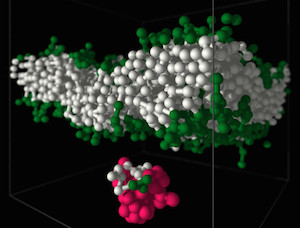 Theoretical Polymer Physics